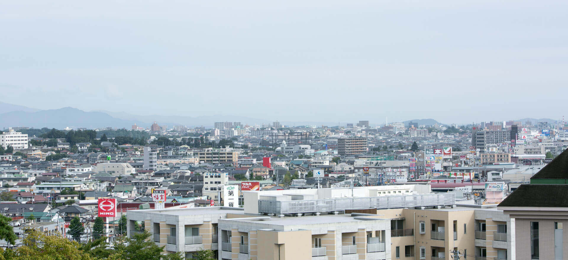 Inclusive Community Support Team